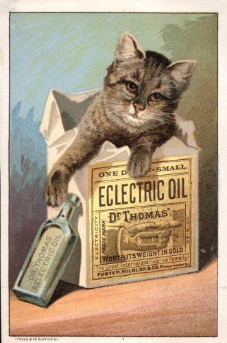 Dr. Thomas' Eclectric Oil
