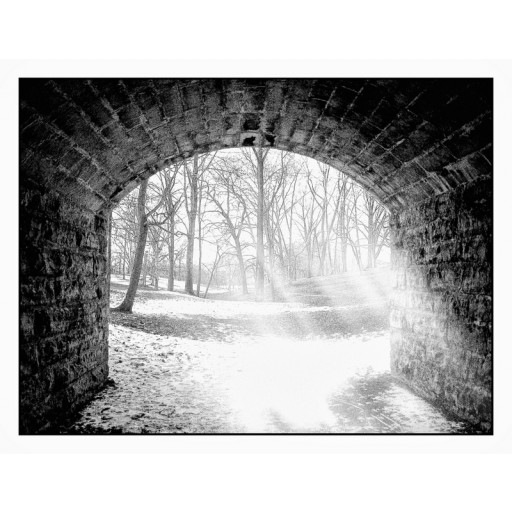 Delaware Park, Arch