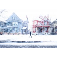 Buffalo Snow- Blue House Red House